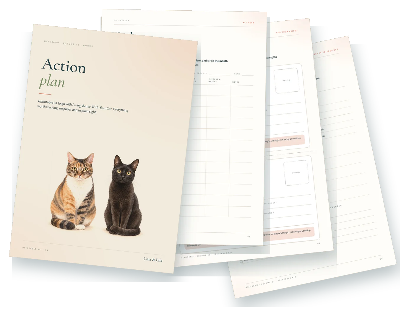 Pages from the Printable Action Plan Kit