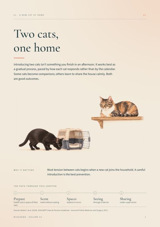 Two cats, one home