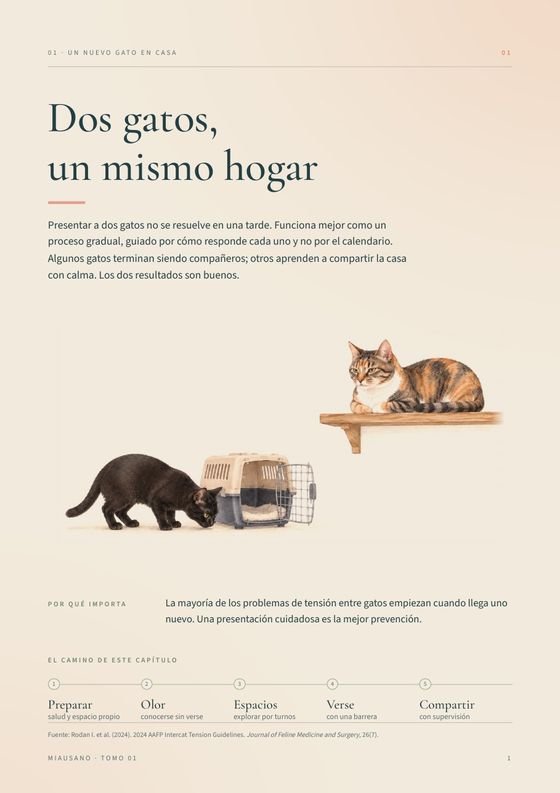 Dos gatos, un mismo hogar
